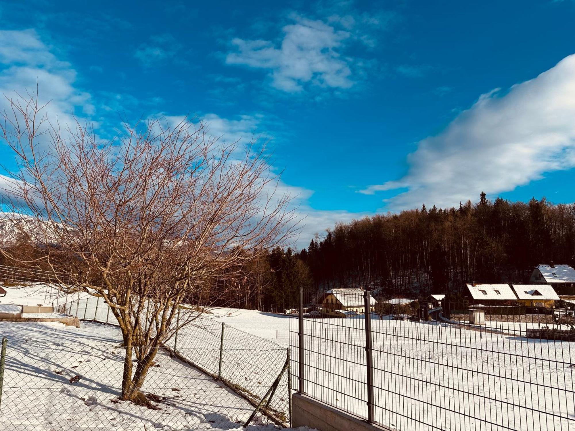 Chalet Pjagodic ツェルクニェ・ナ・ゴレニスケム エクステリア 写真